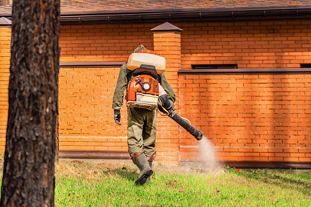 Top rated local Mosquito Control specialists in Weyauwega, WI